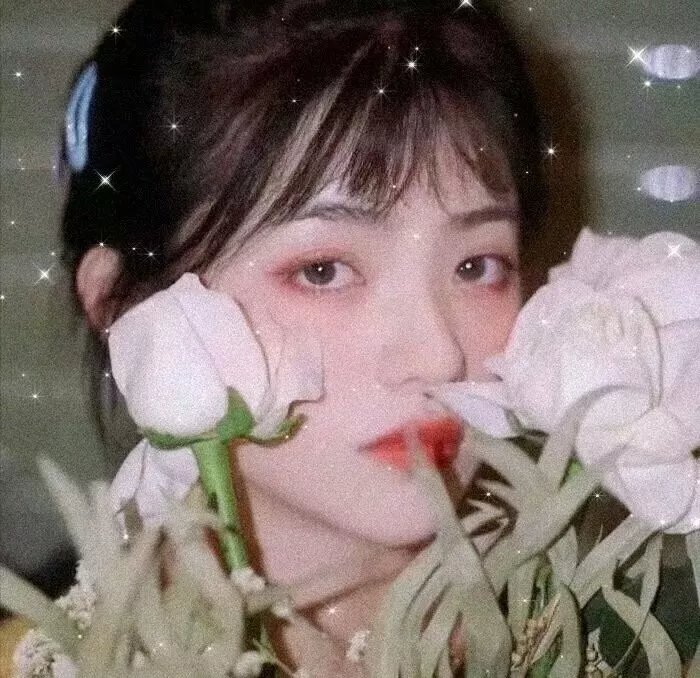 人类升级